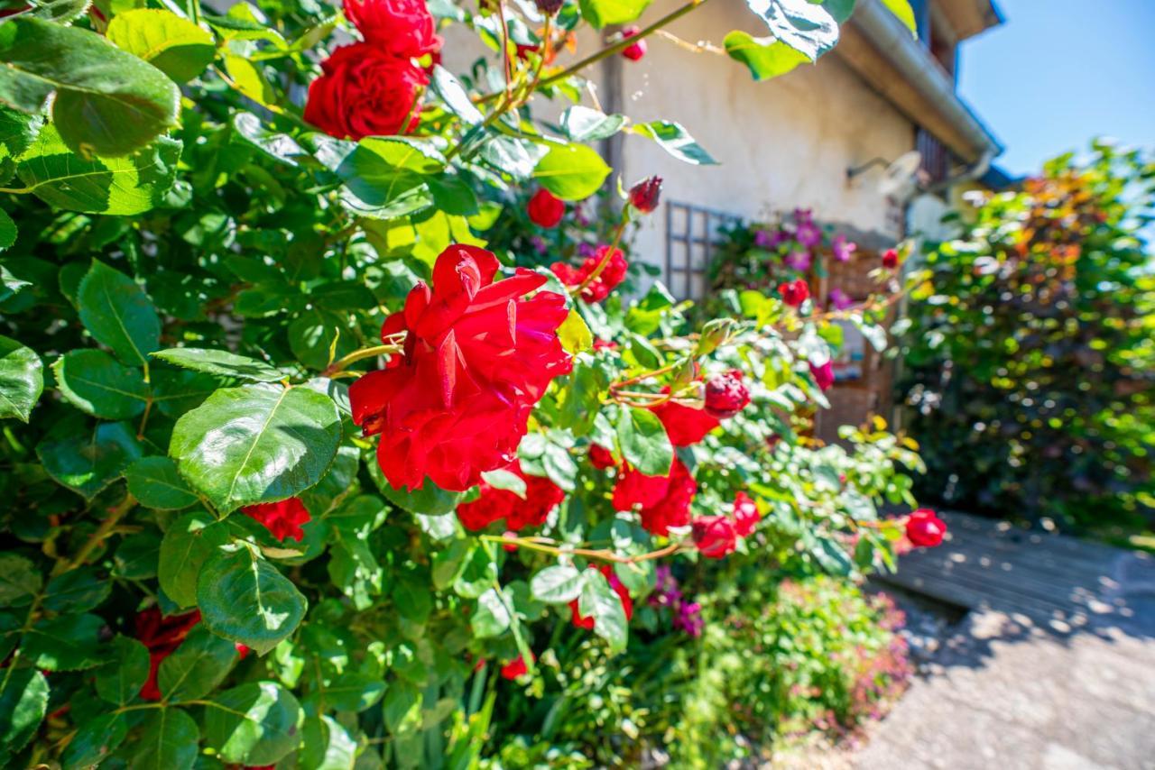 Chambre D'Hotes - Le Jardin Des Patissons La Foret Du Parc ภายนอก รูปภาพ